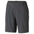 Columbia Silver Ridge 2.0 Shorts Pants
