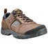 Timberland Mt Major Low Leather Goretex Hiking Shoes