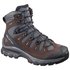 Salomon Quest 4D 3 Goretex Hiking Boots
