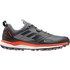 adidas Terrex Agravic XT Goretex παπούτσια για τρέξιμο σε μονοπάτια