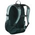 The north face Borealis Classic Backpack