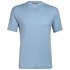 Icebreaker Ravyn V Merino Short Sleeve T-Shirt