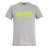 Salewa Kort Ärm T-Shirt Reflection Dri-Release