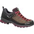 Salewa MTN Trainer 2 Goretex Hiking Shoes