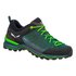 Salewa MTN Trainer Lite Goretex Hiking Shoes