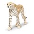 Safari ltd Gepard Figur