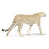 Safari ltd Gepard Figur