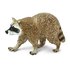 Safari Ltd Raccoon Figure