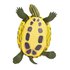 Safari ltd Rotwangen-Schmuckschildkröte Figur
