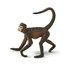 Safari Ltd Spider Monkey Figur