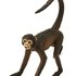 Safari ltd Spider Monkey Figur