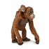 Safari Ltd Orangutan Z Figurką Dziecka