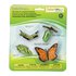 Safari Ltd Cycle De Vie D´une Figure De Papillon Monarque