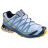 Salomon XA Pro 3D v8 Goretex Trail Running Schuhe