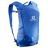 Salomon Trailblazer 10L backpack