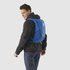 Salomon Trailblazer 10L backpack