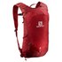 Salomon Trailblazer 10L rucksack