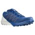 Salomon Sense 4 Pro trail running shoes
