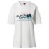 The North Face Biner Graphic 2 T-shirt met korte mouwen