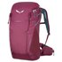 Salewa Alp Trainer 20L backpack
