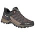 Salewa MTN Trainer Lite Goretex hiking shoes