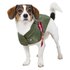 Alpha industries MA-1 Nylon Flight Dog Jacket