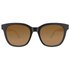 Aphex Echo Polarized Sunglasses