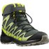 Salomon XA Pro V8 Winter CSWP hiking boots