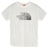 The North Face Biner Graphic 1 kortarmet t-skjorte