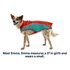 Ruffwear Lumenglow Hi-Viz Dog Jacket