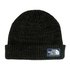 The north face Salty Dog Beanie